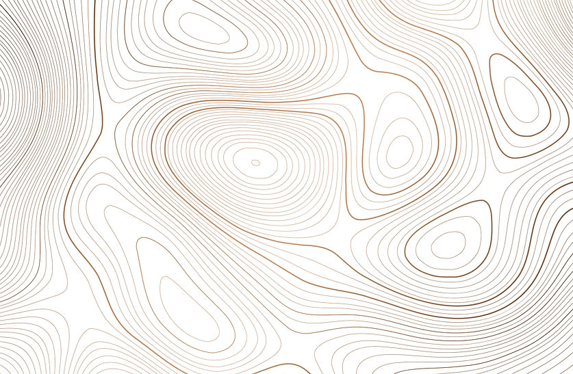 2 fundo mskin_edited.jpg