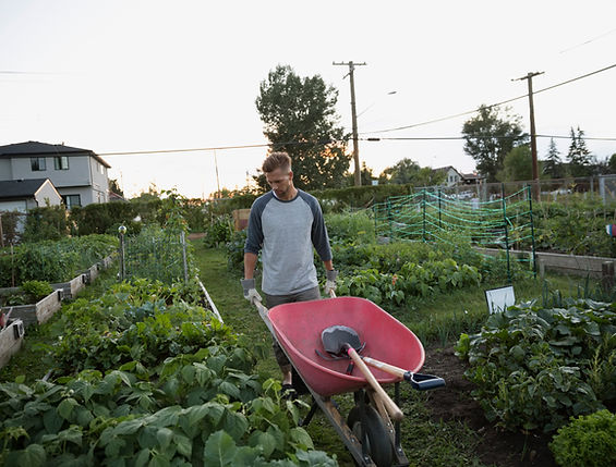 Gardener