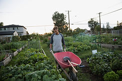 Gardener