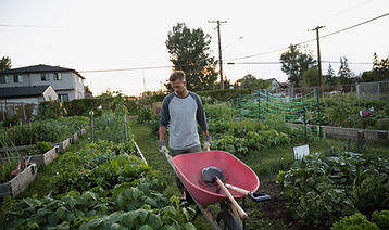 Gardener