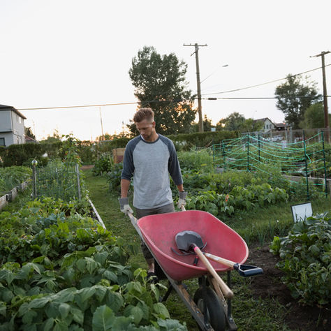 Le jardinage en avril