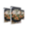 Untitled design-5.png