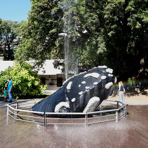 Ecoparque BA. Un nuevo paseo familiar en Buenos Aires