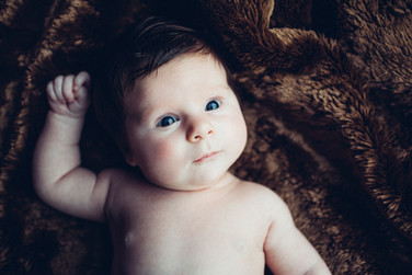 untitled image
