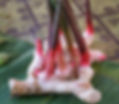 galangal-3270069_960_720.jpg