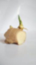 ginger-1586258_1920_edited.jpg