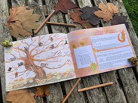autumnpic1.jpeg
