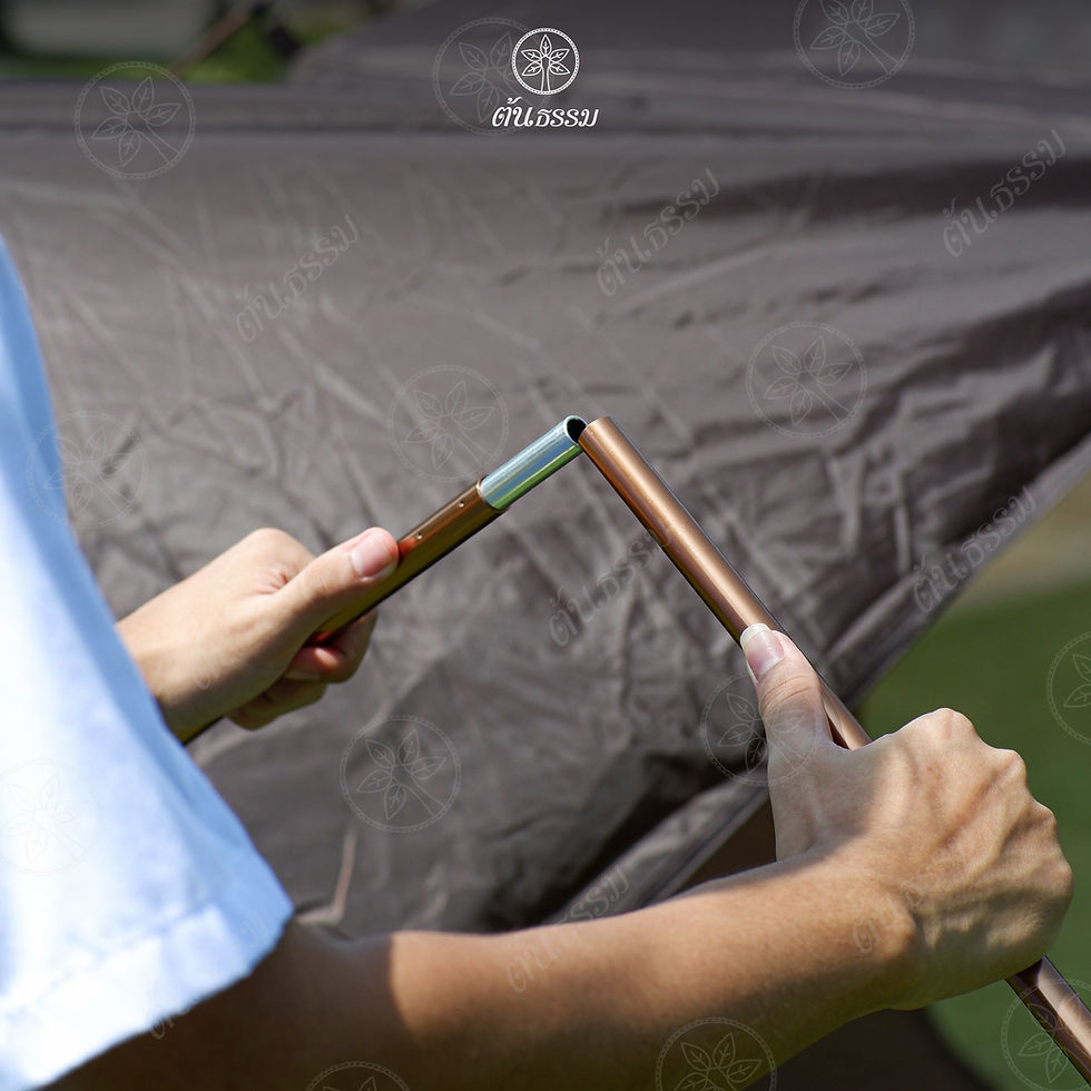 ภาพขนาดย่อ: เสาค้ำประตู ต้นธรรม