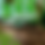 Thumbnail: Equatorial threads Wallpaper
