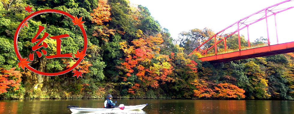 【11月後半～12月初旬】亀山湖紅葉カヤックツアー