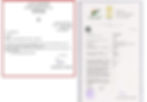 FlowChart_PLSQL_Review_SW-12591_2019_booklet