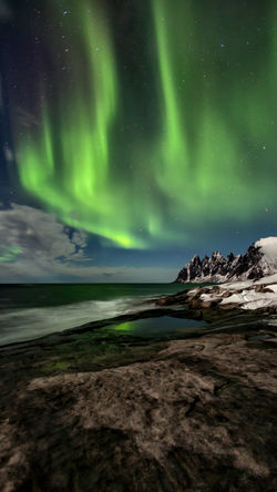 Nordlyset