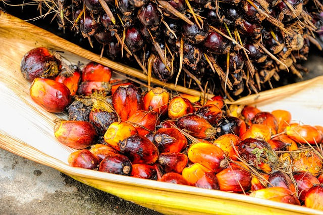 Palm Oil on Amazon