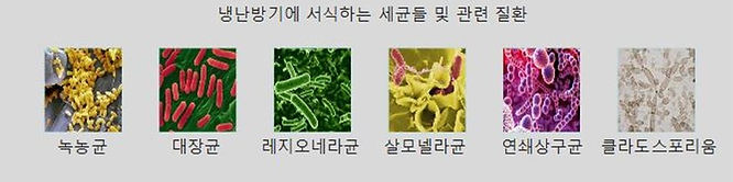 세균이미지.JPG