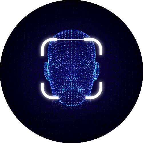 face-scan.gif
