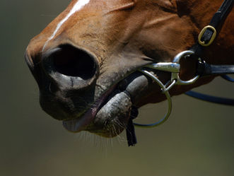 The Power of Your Mouth