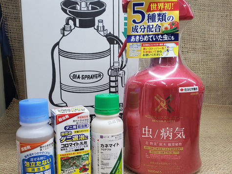 ⚡ハダニ注意報⚡