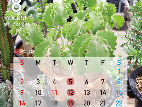 8月【営業日のお知らせ】