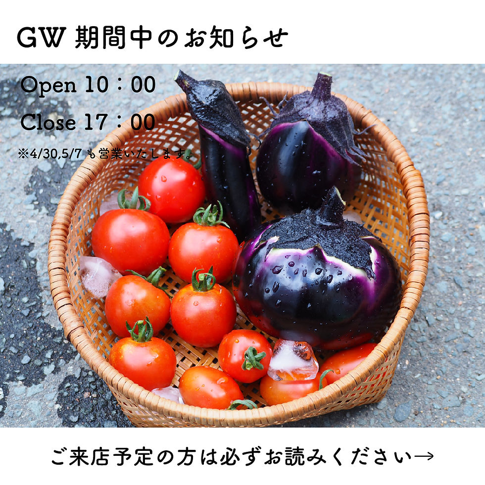 栗かぐや苗600本6月5日発送 栗かぐや苗600本6月5日発送