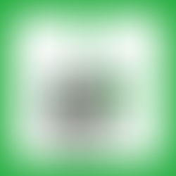  緑肥を播こう【ヘイオーツ・グリーンソルゴー】