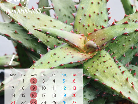 7月【営業日のお知らせ】