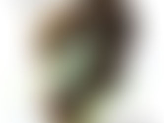 12月【今月のおしらせ】