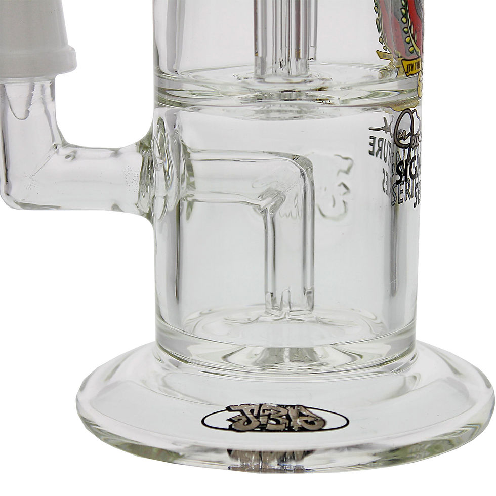 Miniatura: Jerome Baker-J5- Fixed-palm tree perc