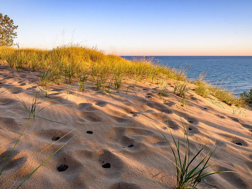 For photographers, hikers, birdwatchers, campers or families looking for a relatively inexpensive weekend trip, October 2026 should be one of the best times of the year to rediscover Indiana Dunes National Park.