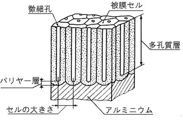 断面イメージ図