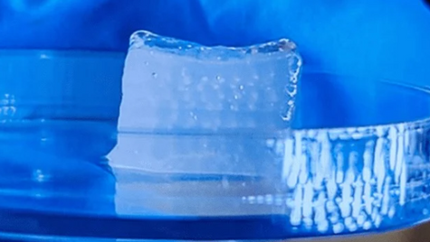 A revolutionary step towards functional tissues and organs