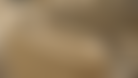 Building the Future: QOROX's 3D Printed Skatepark in Tauranga