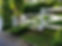 CROSSBAR-POST-AND-RAIL_edited.jpg
