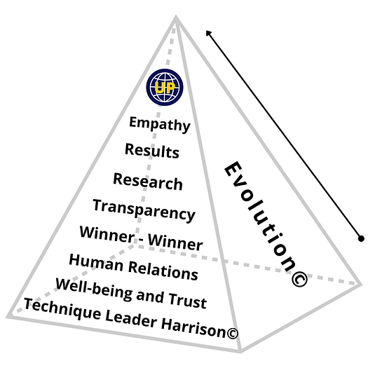 UP English School France pyramide