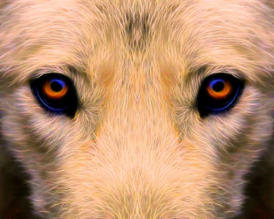 reduced - Eyes - 16x20 - Mohan 2022.jpg