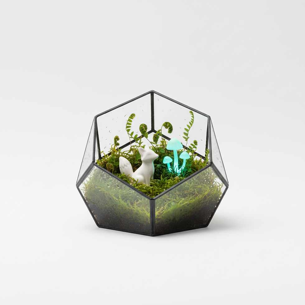 Enchanted Forest Terrarium