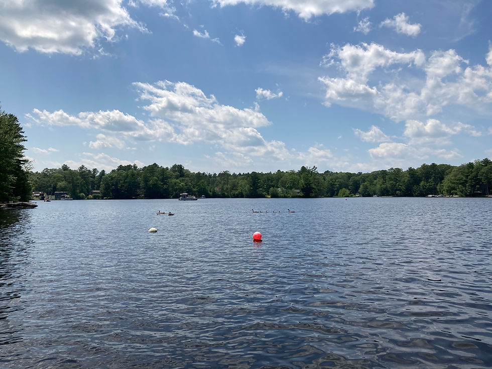 Keech Pond Summer 2025