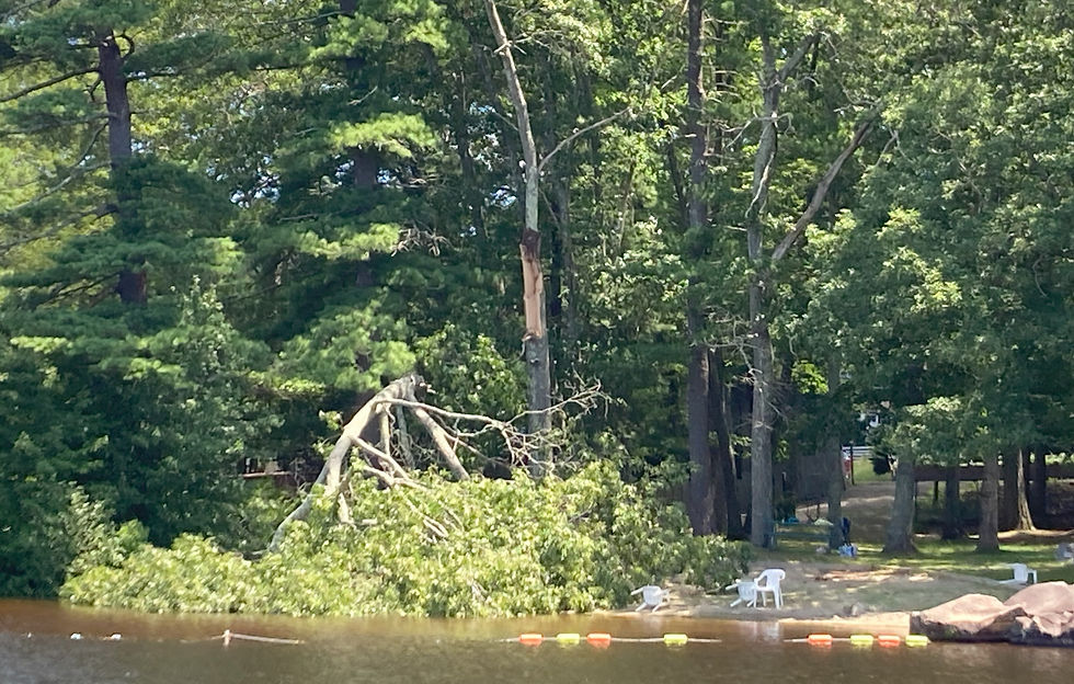 Eye-level view of Cherry Valley Beach with a blocked access path