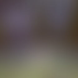 Brand New - Daisy Album Review