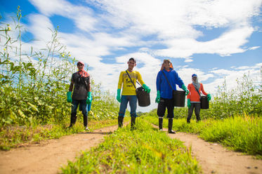 Sinclair Group - Okra Farm