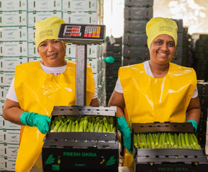Sinclair Group - Team at Okra Farm
