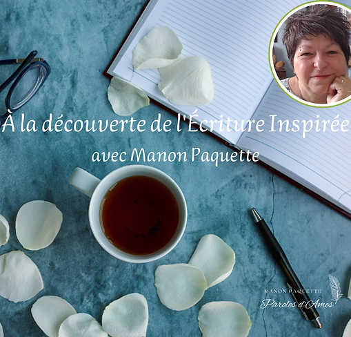 A la découverte site web.png