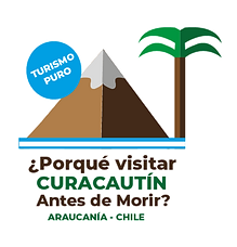 logo sin fondo_Mesa de trabajo 1.png