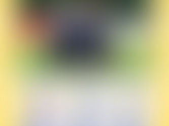 Testspiele Männer: aktualisierte Übersicht