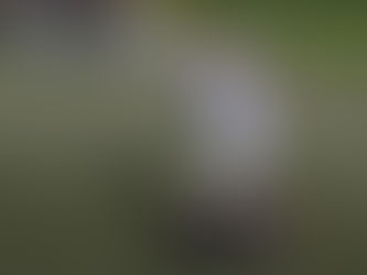 Kreisoberliga 23. Spieltag: FSV Martinroda - FC Empor Weimar 2-1 (1-0)