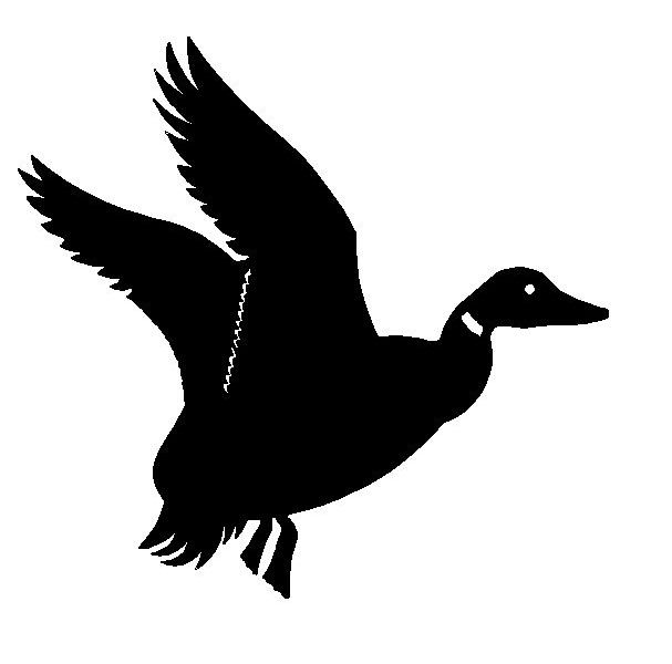 Duck 2