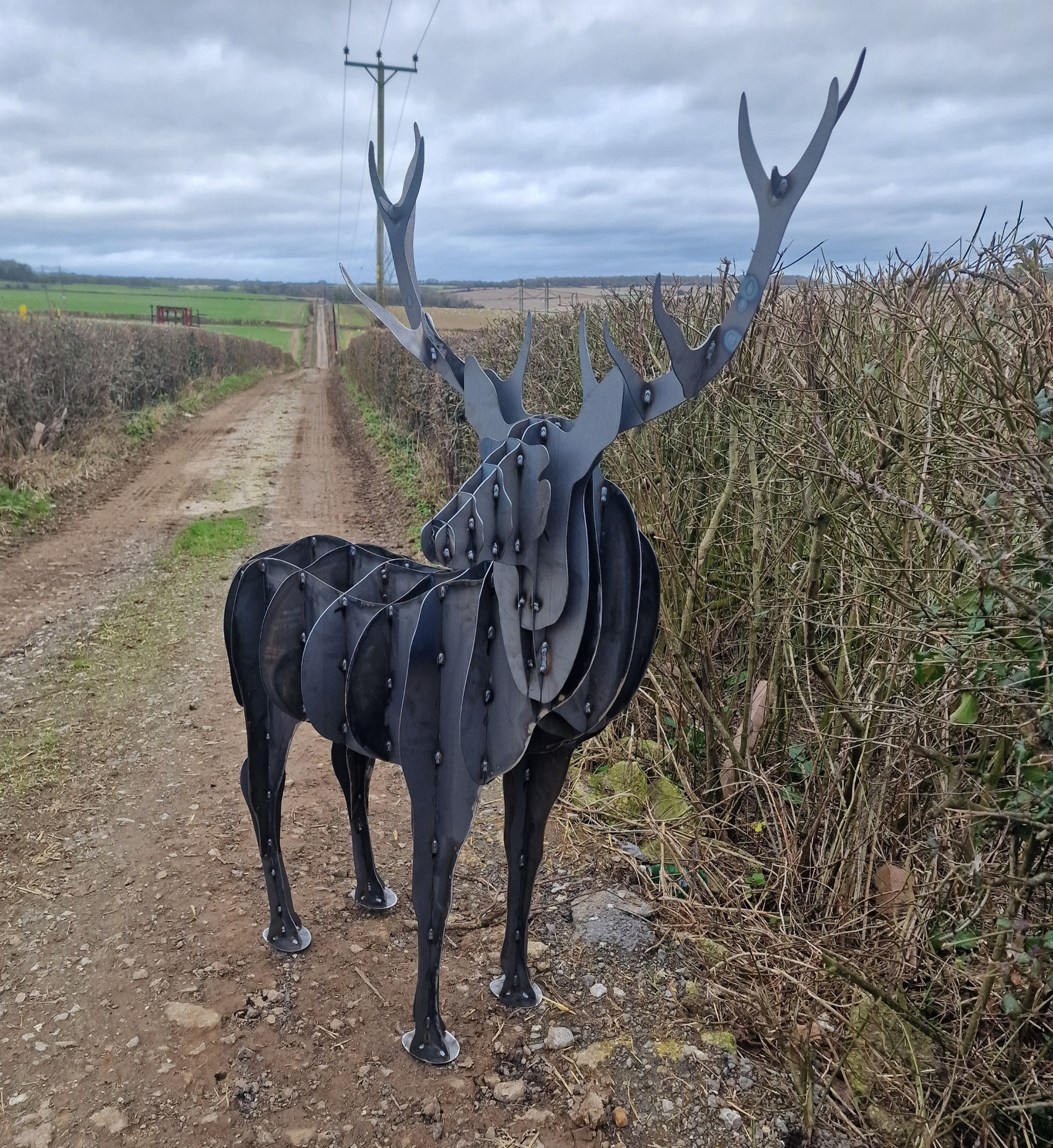 Stag II