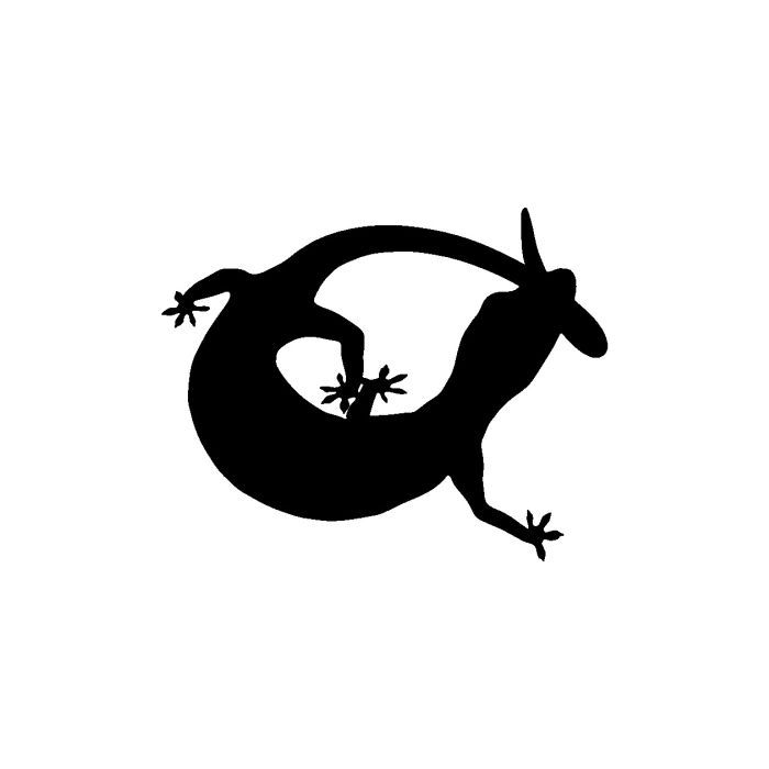 Gecko 6