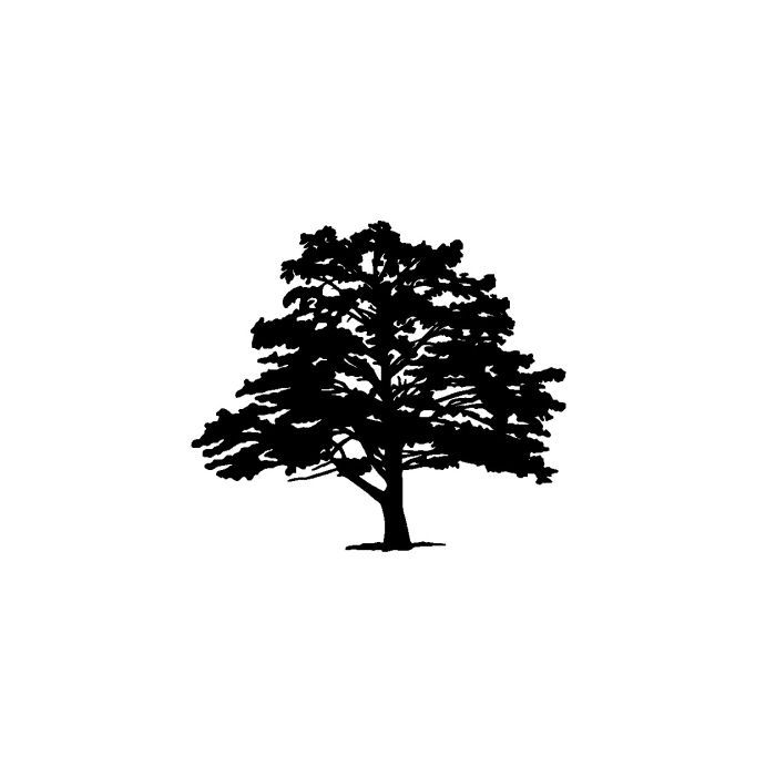 Tree 25