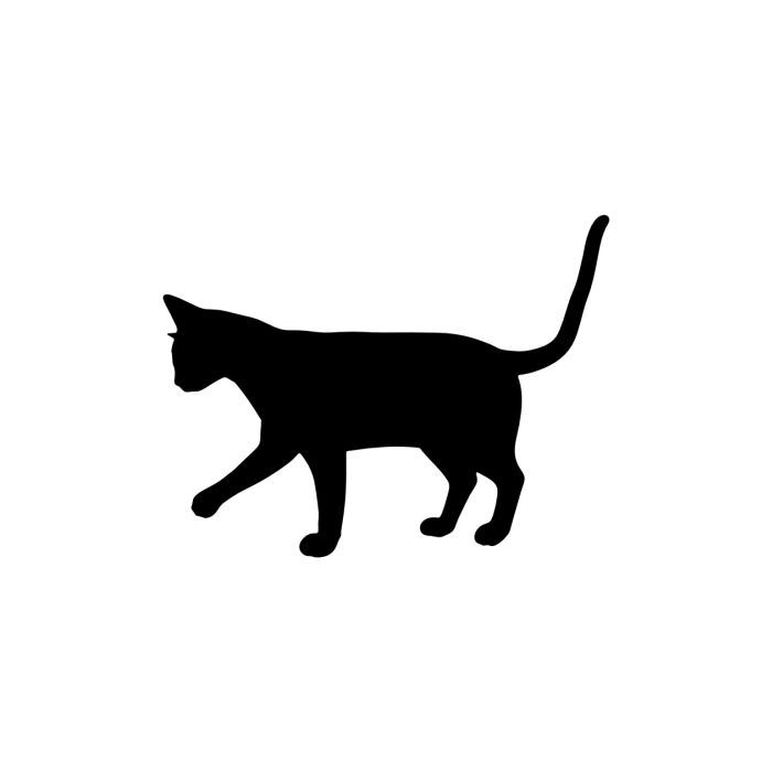 Abyssinian 1