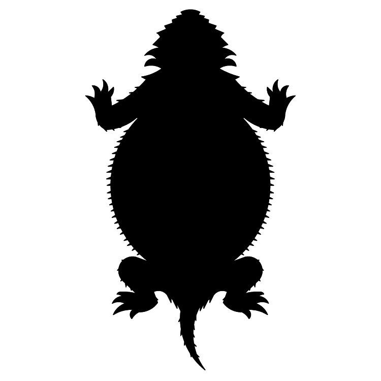 Horned Toad